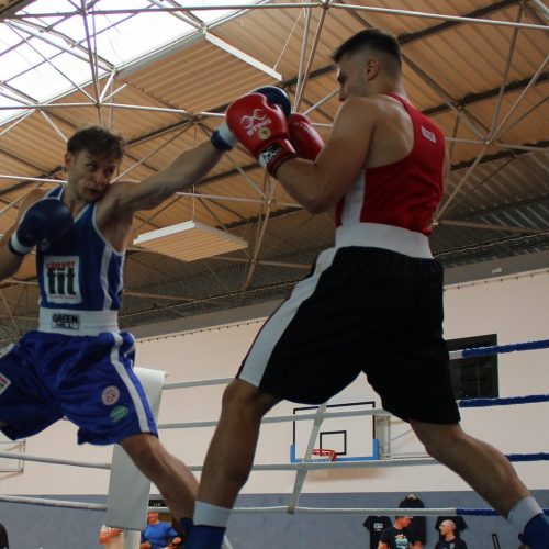 MMA-Erlangen-Boxen-Meisterschaft